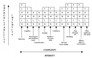 Decision Support Tool (DST) Scoring 